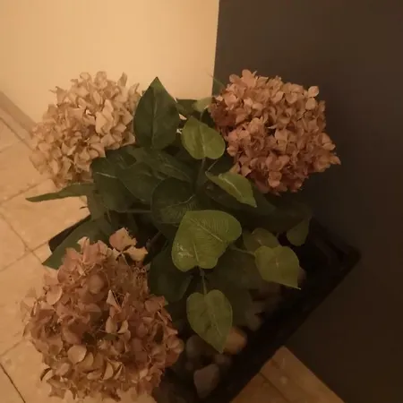 Apartman Mera Apartament