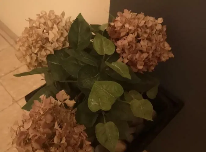 Apartman Mera Lägenhet