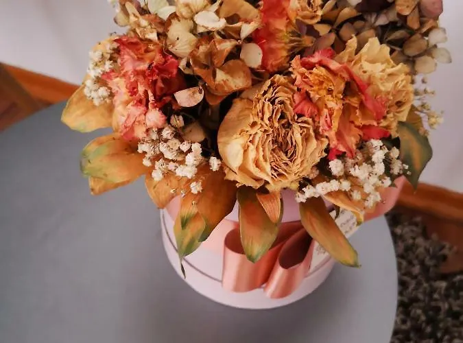 Apartman Mera Apartman Zára